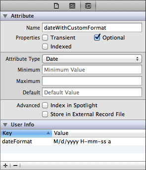 Xcoode - Date attribute configured with a custom date format